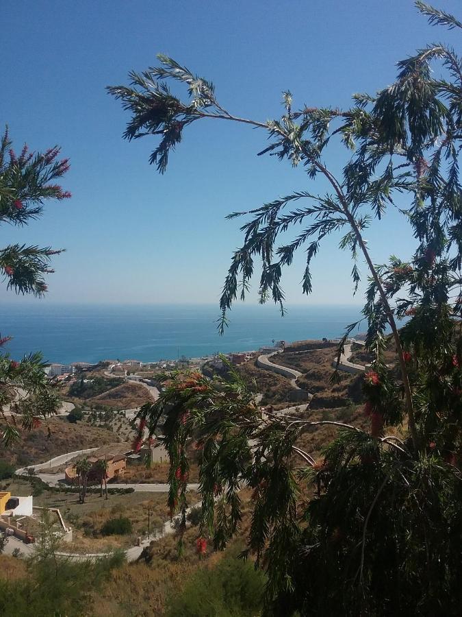 토록스 El Penoncillo 아파트 외부 사진